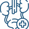 Icono de especialidad en urología – consulta online