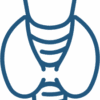 Icono de especialidad en endocrinología – consulta online